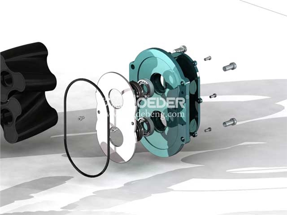 中間隔離腔 中間隔離腔