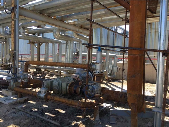 高粘度轉(zhuǎn)子泵輸油管道 高粘度轉(zhuǎn)子泵輸油管道