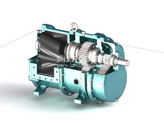 定速比集成減速機轉(zhuǎn)子泵 定速比集成減速機轉(zhuǎn)子泵