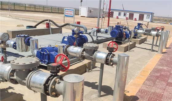 污泥轉(zhuǎn)子泵 污泥轉(zhuǎn)子泵