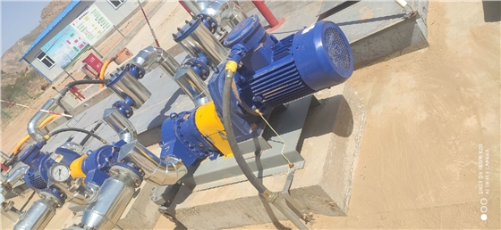 轉(zhuǎn)子泵 轉(zhuǎn)子泵