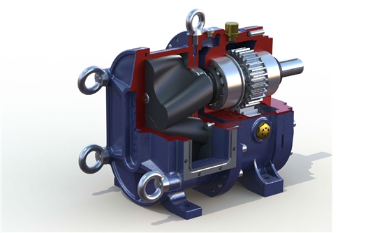 轉(zhuǎn)子泵 轉(zhuǎn)子泵
