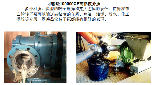 凸輪轉(zhuǎn)子泵 凸輪轉(zhuǎn)子泵