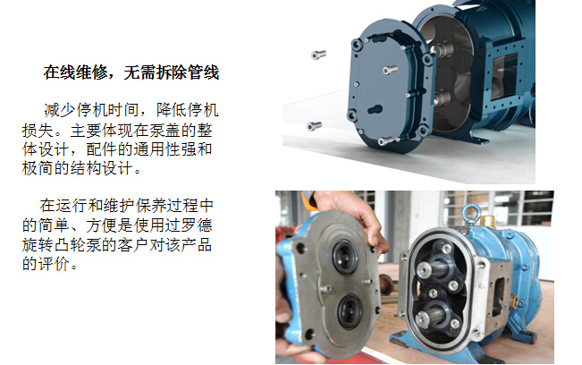 凸輪轉(zhuǎn)子泵 凸輪轉(zhuǎn)子泵