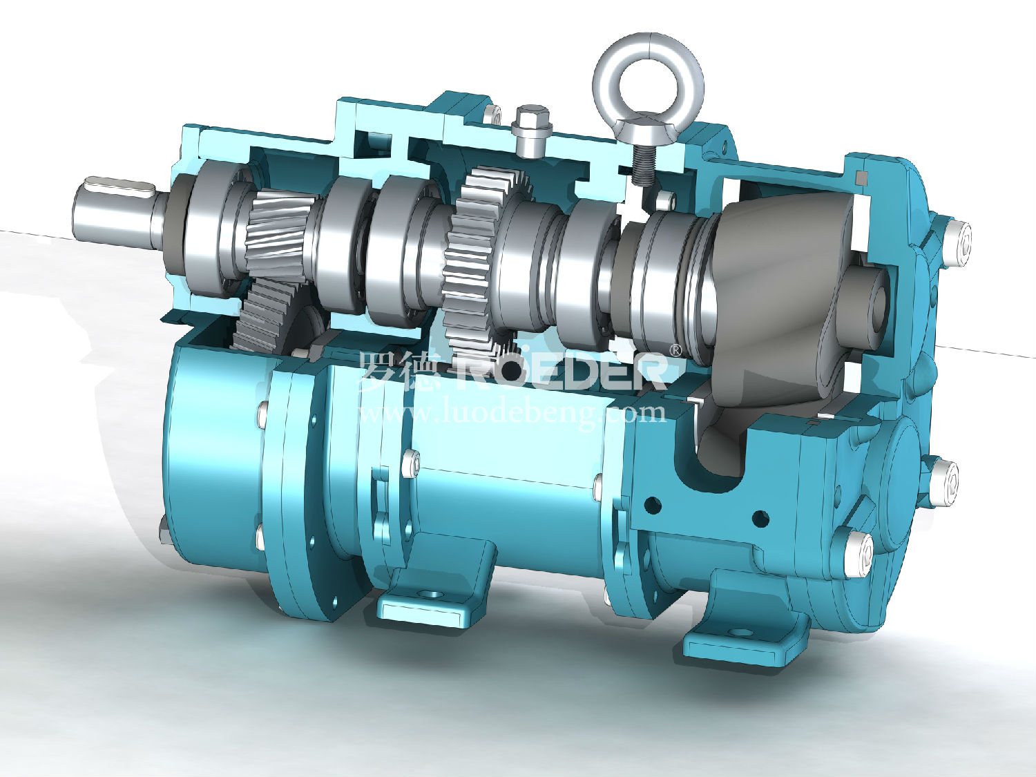 凸輪轉子泵 凸輪轉子泵