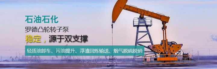 汽柴油裝卸車(chē)轉(zhuǎn)子泵20161202 汽柴油裝卸車(chē)轉(zhuǎn)子泵20161202