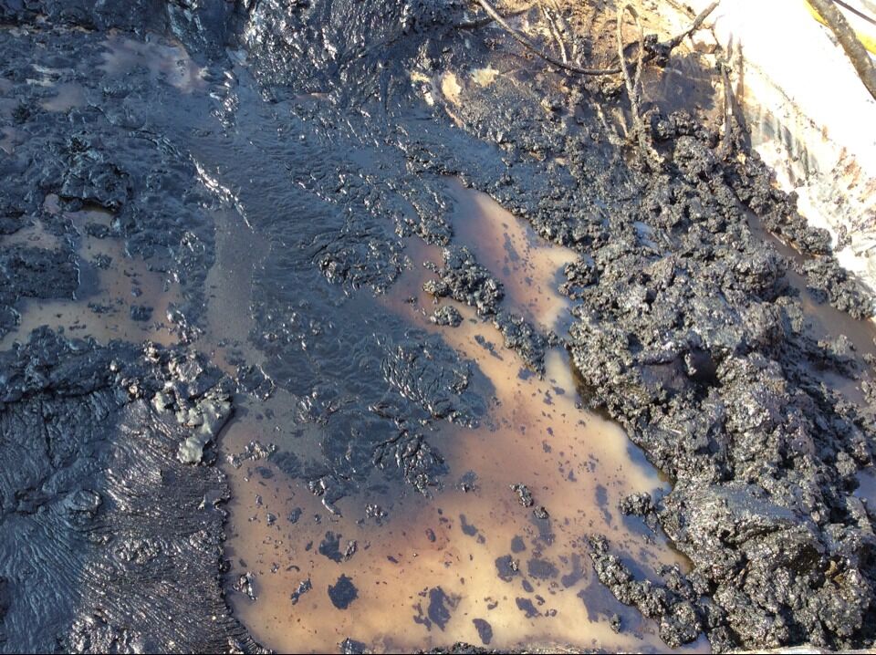 羅德轉子泵傳輸含顆粒無介質 羅德轉子泵傳輸含顆粒無介質