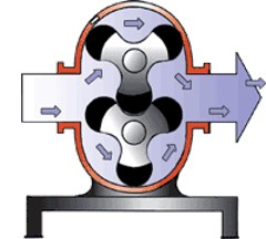 凸輪轉(zhuǎn)子泵 凸輪轉(zhuǎn)子泵