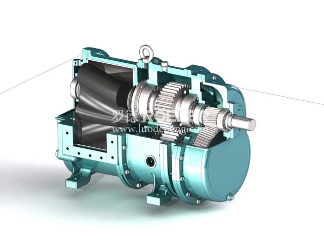 定速比集成減速機(jī)轉(zhuǎn)子泵 定速比集成減速機(jī)轉(zhuǎn)子泵