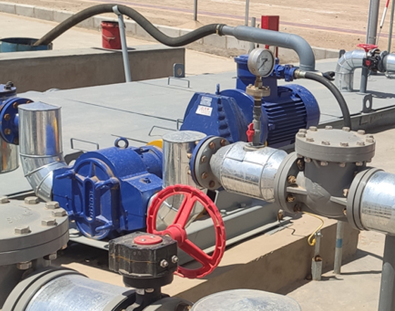 中石油天然氣陜西某分公司-含油污水轉子泵 中石油天然氣陜西某分公司-含油污水轉子泵